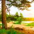Finland 2020 — offline map Finland 2020 — offline map