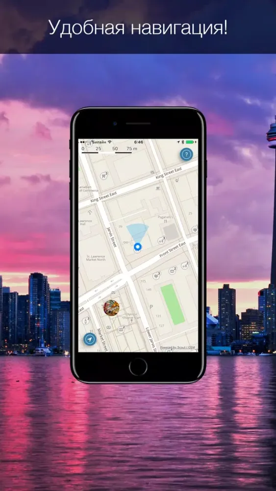 Capturas de pantalla de Toronto 2020 — offline map