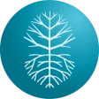 FF MetricS