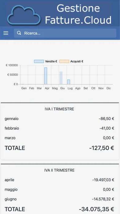 Gestione Fatture Cloud Screenshots