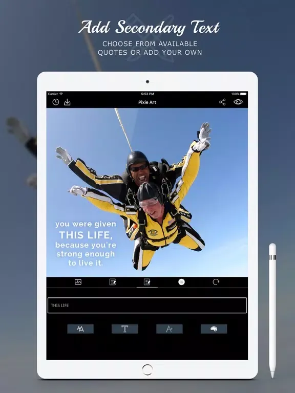 ภาพหน้าจอของ Pixie Art iPad 