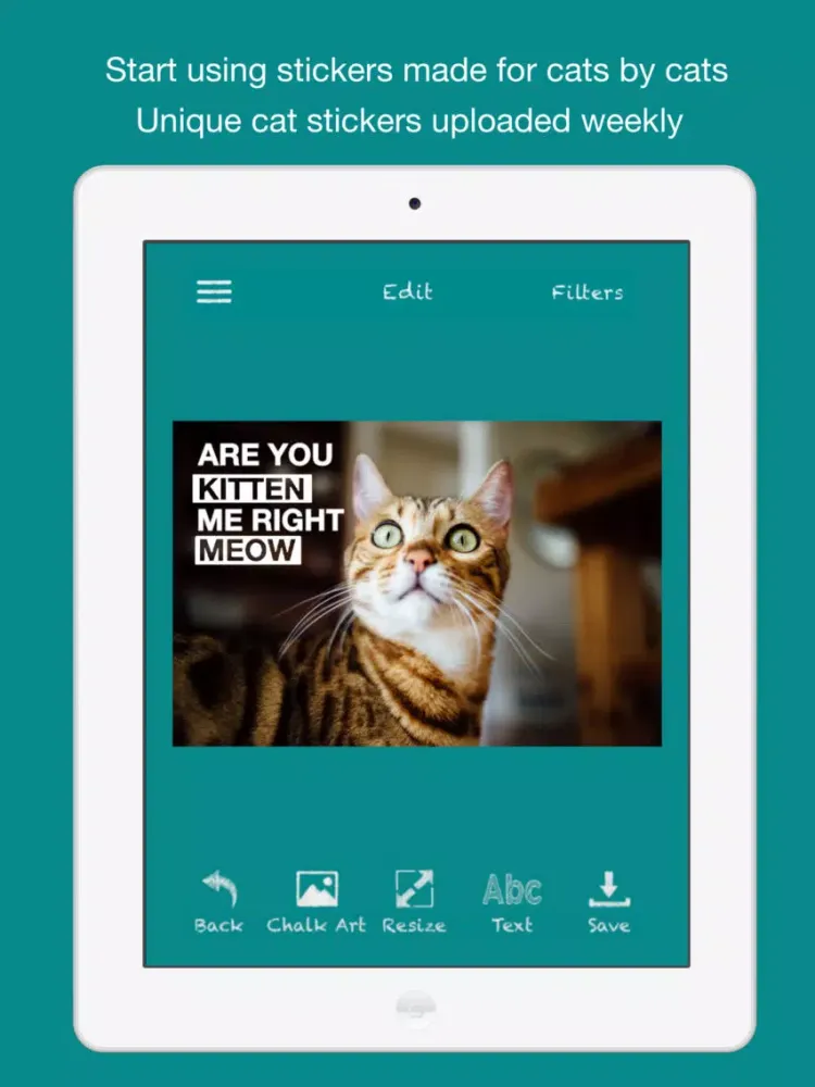 Cat Chalk iPad  स्क्रीनशॉट