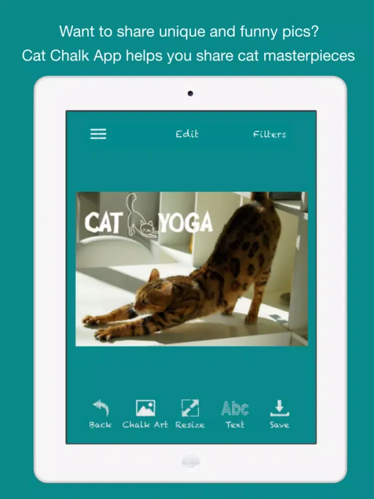 Cat Chalk iPad  स्क्रीनशॉट