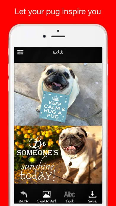 Pug Chalk Sticker Photo Editor स्क्रीनशॉट
