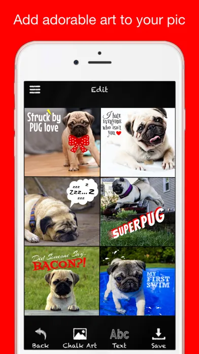 Pug Chalk Sticker Photo Editor स्क्रीनशॉट