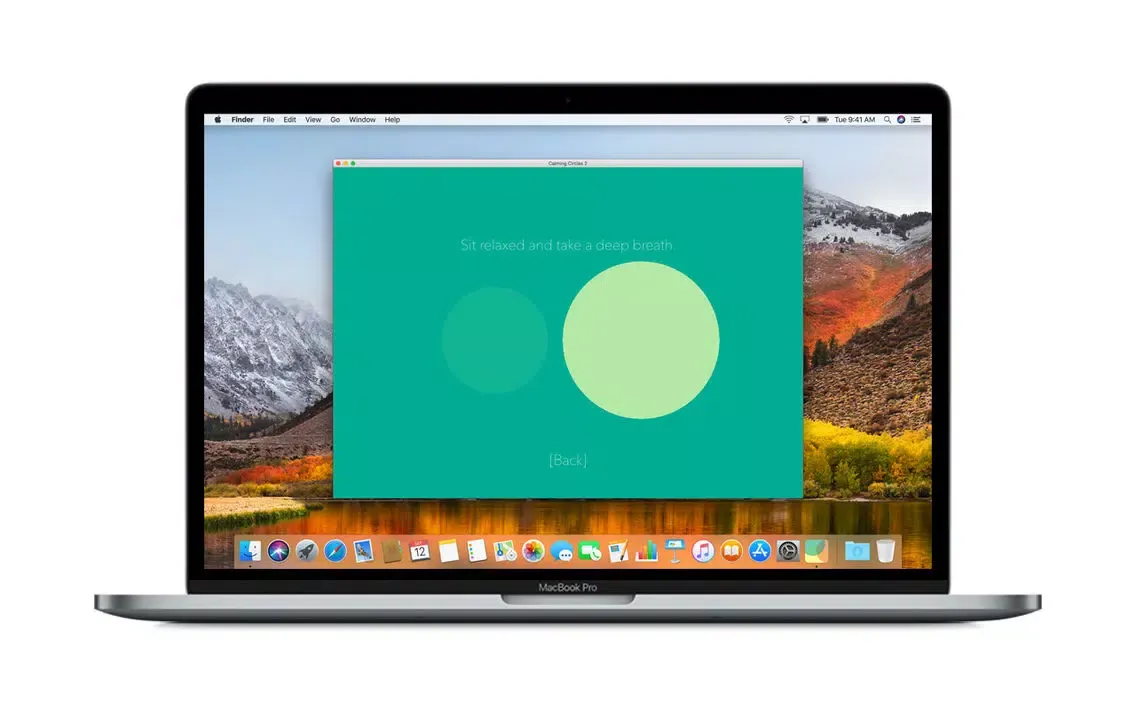 Calming Circles 2应用截图