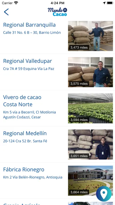 Скриншоты Mundo Cacao