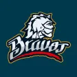 Bravos De León