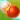 Extreme Ball Master