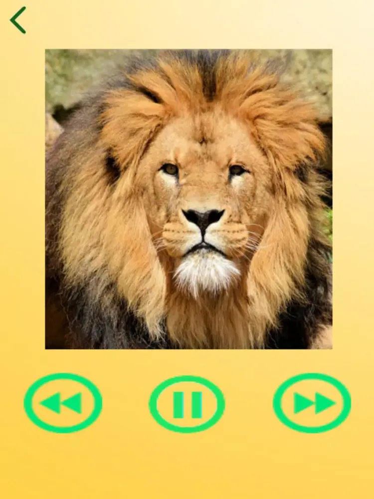 Preschool Online Learning App iPad  Screenshots