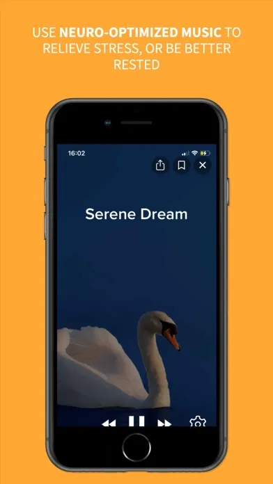 Total Brain by SonderMind應用截圖