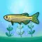 Aquamix