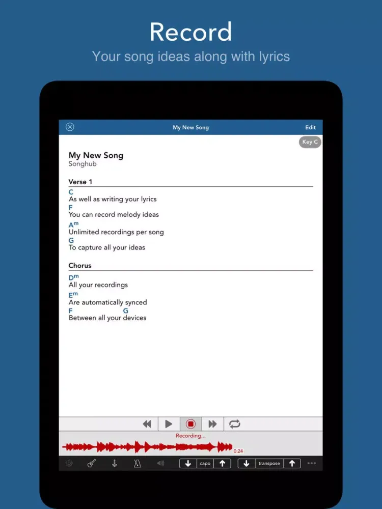 Songhub iPad  スクリーンショット