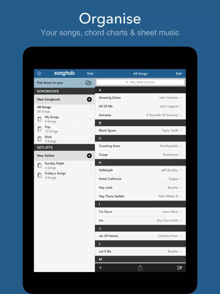 Songhub iPad  スクリーンショット