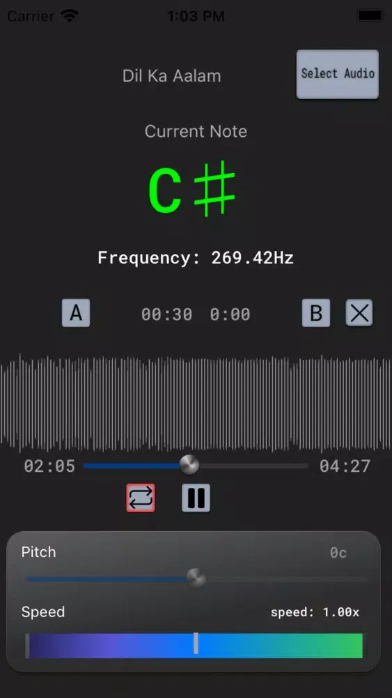Скриншоты Song Recognizer