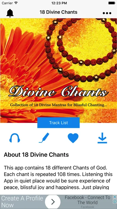 Скриншоты 18 Divine Chants