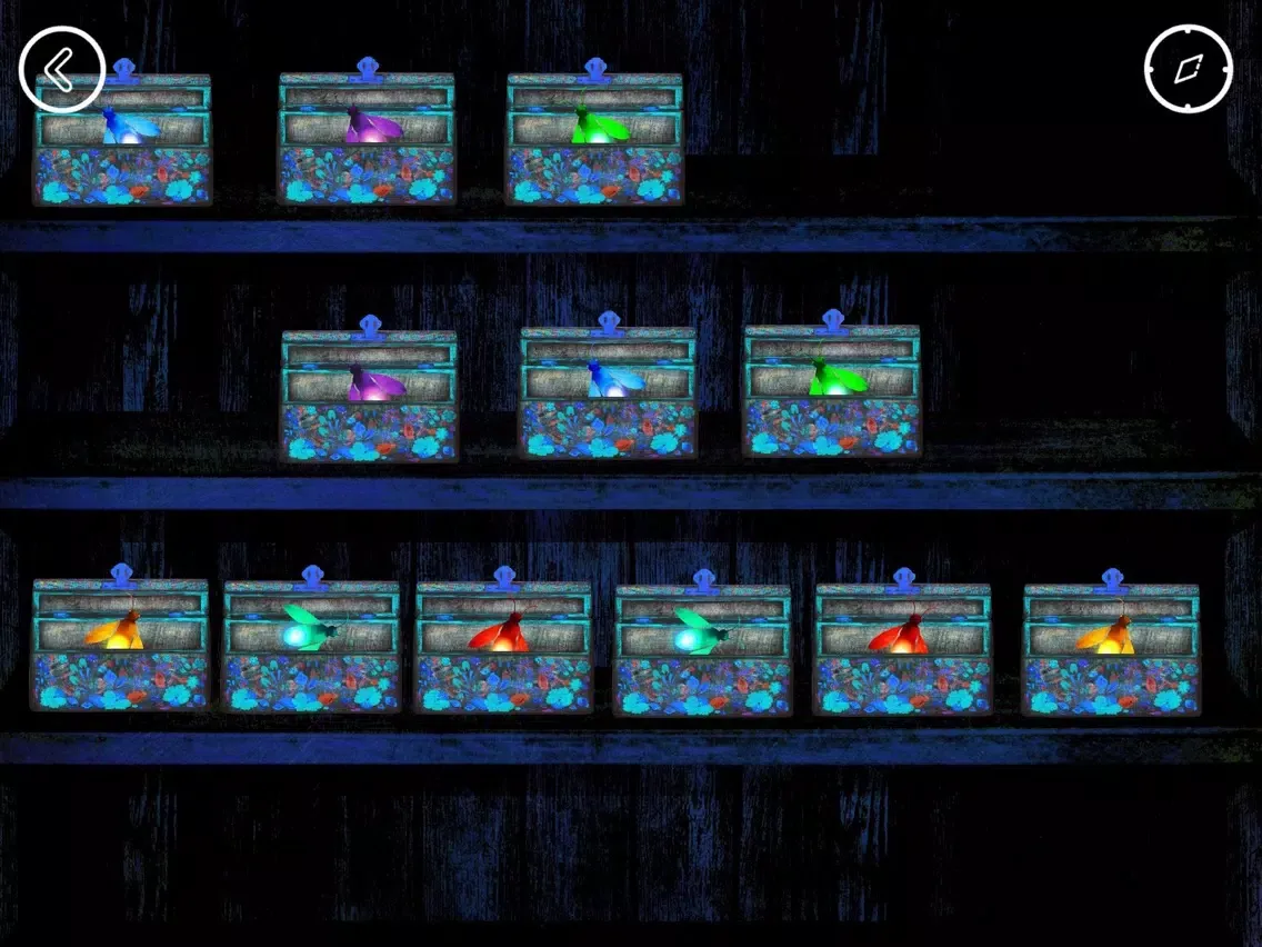 Travel with the Nutcracker ! iPad  Screenshots