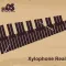 Xylophone Real: 2 mallet types