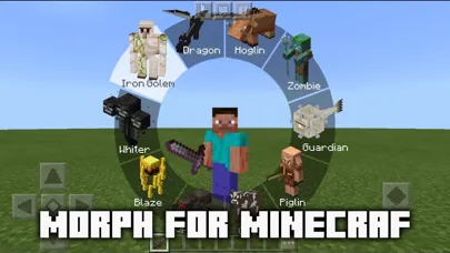 MCPE ADDONS - Morph Mods應用截圖