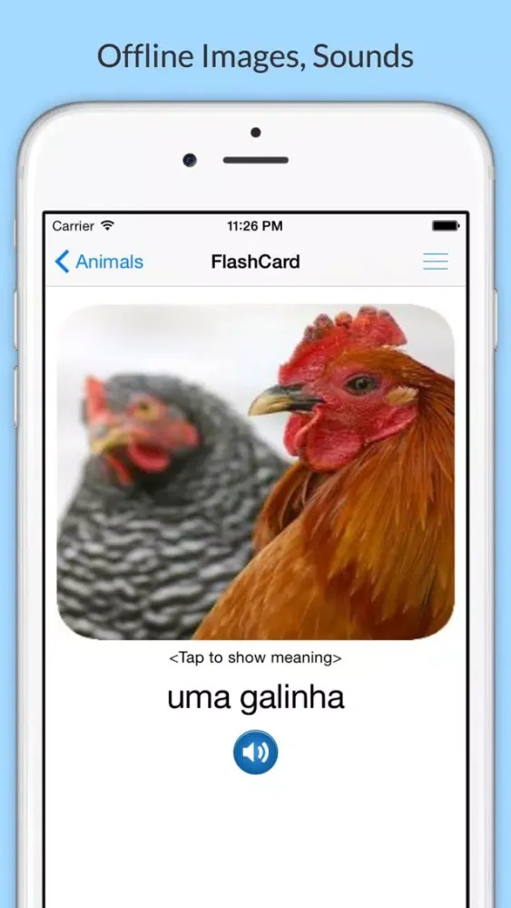 Learn Portuguese with Common Words应用截图