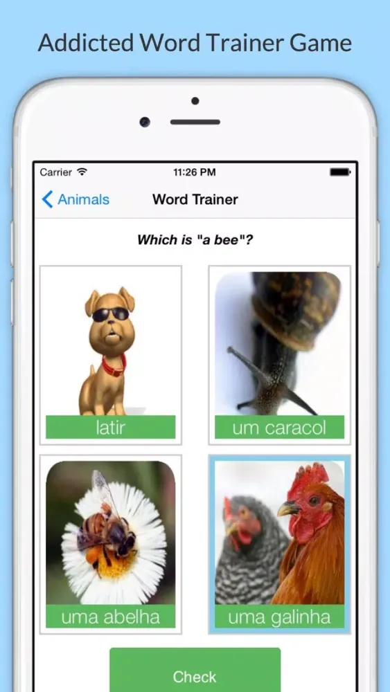 Learn Portuguese with Common Words应用截图