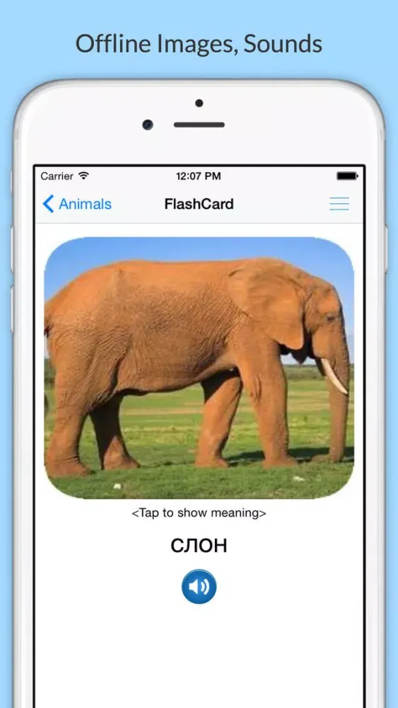 Capturas de tela do Learn Russian with Common Words