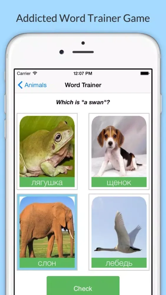 Capturas de tela do Learn Russian with Common Words