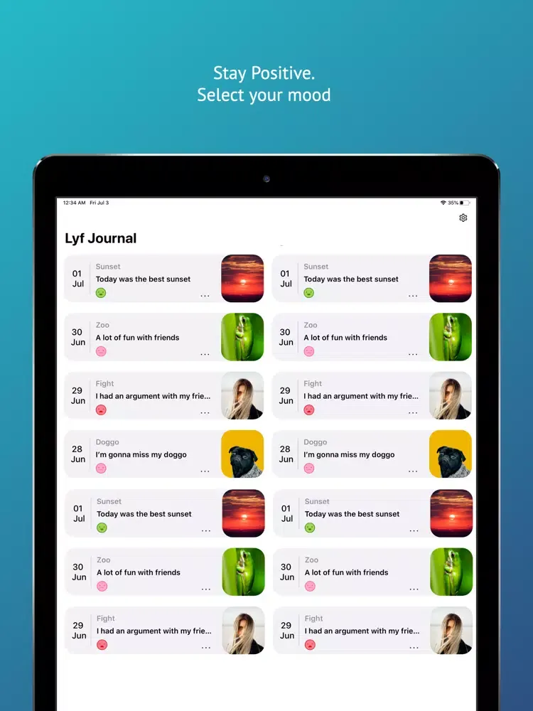 Lyf Journal Diary with Lock iPad  Ekran Görüntüleri