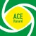 ACE Itarare Mobile