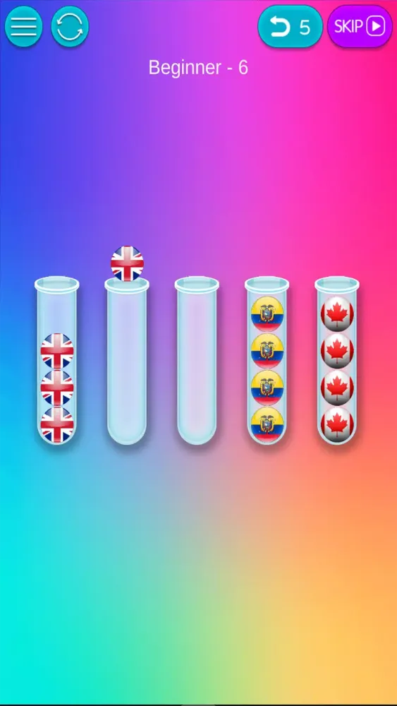 Puzz Challenge: Flags Sorting! Screenshots