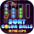 Sort Color Ball In The Cups Sort Color Ball In The Cups