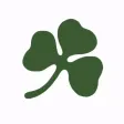 Shamrock Pro Shamrock Pro