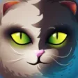 Scratchy Cat