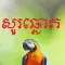 Ask The Parrot