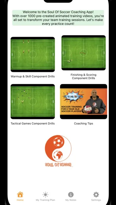 Скриншоты Soul Of Soccer Team Coaching