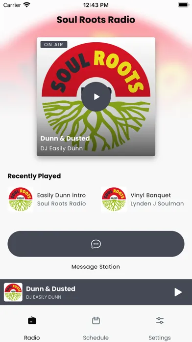 Soul Roots Radio应用截图