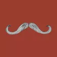 Mo Stache