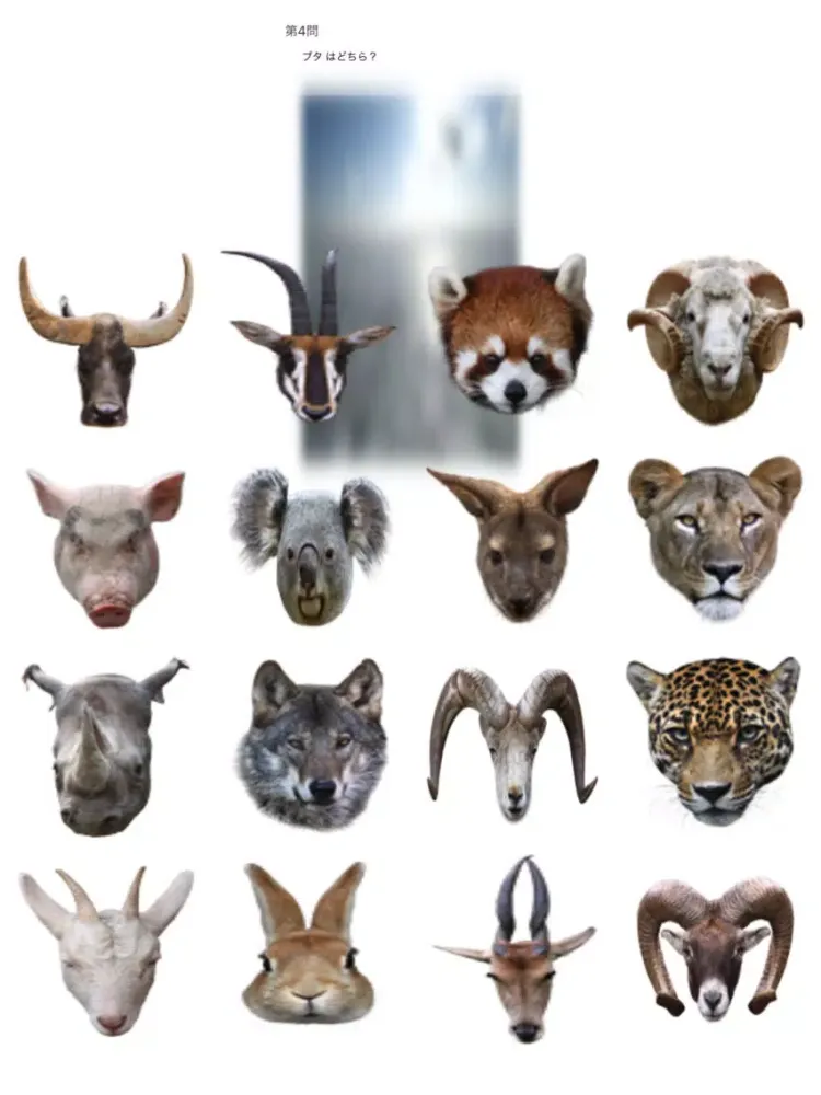 Tangkapan skrin Animal Faces Touch Quiz :: Hit a face of an animal iPad 