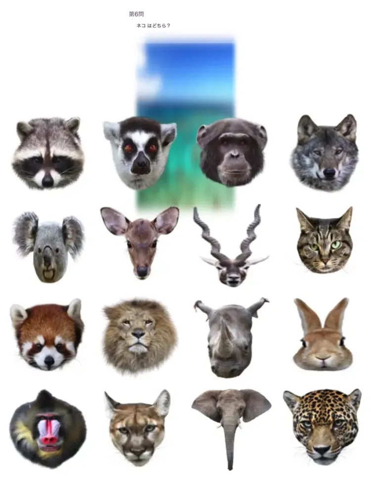 Tangkapan skrin Animal Faces Touch Quiz :: Hit a face of an animal iPad 
