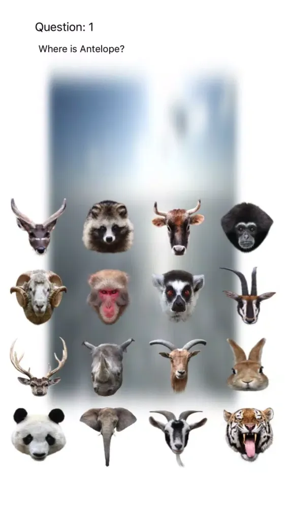 Tangkapan skrin Animal Faces Touch Quiz :: Hit a face of an animal