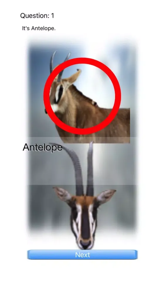 Tangkapan skrin Animal Faces Touch Quiz :: Hit a face of an animal