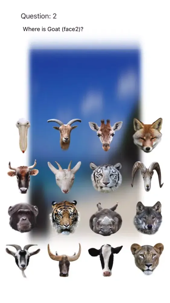 Tangkapan skrin Animal Faces Touch Quiz :: Hit a face of an animal