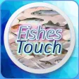 FishesTouch::simple trivia game