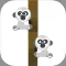 Howamonchii the gibbon