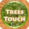 Trees Quiz Touch :: Trees * Woods * Forest