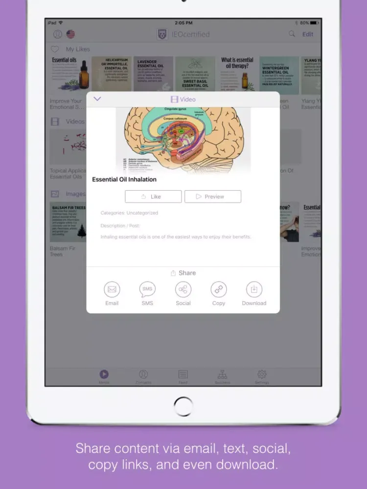 IEO Certified iPad  Ekran Görüntüleri