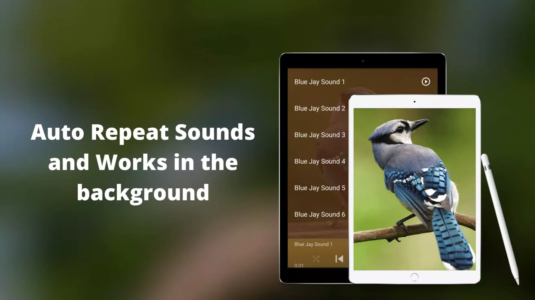 Blue Jay Sounds Screenshots