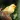Canary Bird Sounds