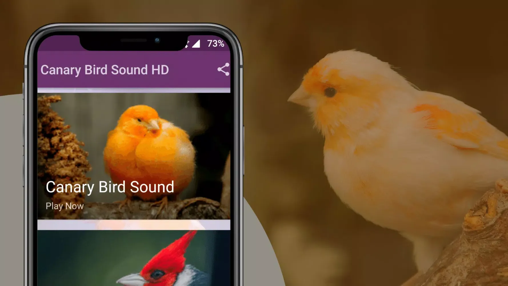 Canary Bird Sounds Ekran Görüntüleri