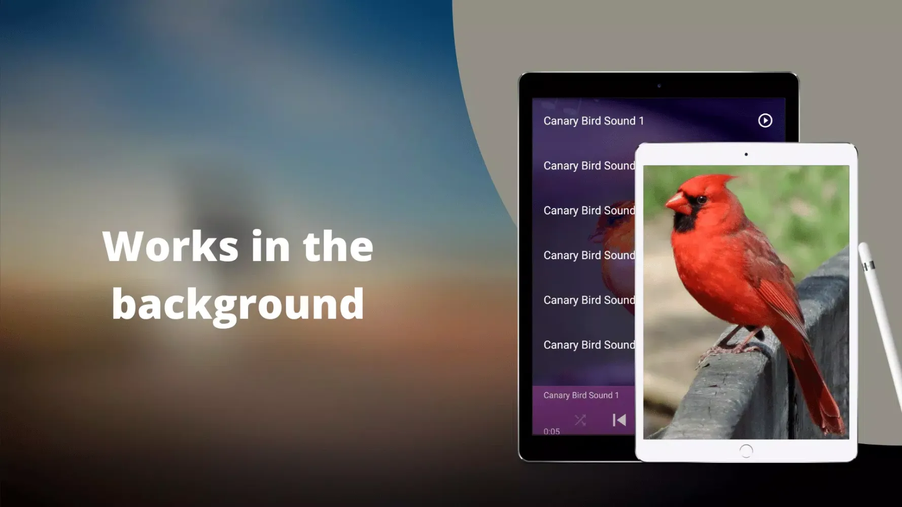 Canary Bird Sounds Ekran Görüntüleri